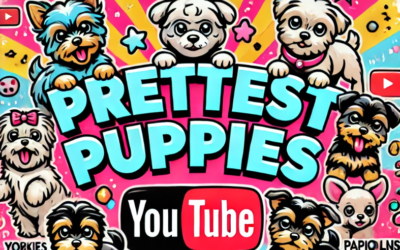 Exciting News: Prettiest Puppies Launches New YouTube Channel!