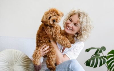 What Makes Poodle Puppies the Best Choice for Austin Tx Families?