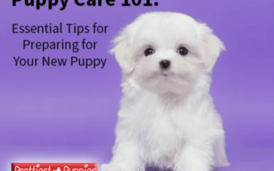 Puppy Care 101: Essential Tips for Preparing for Your New Puppy